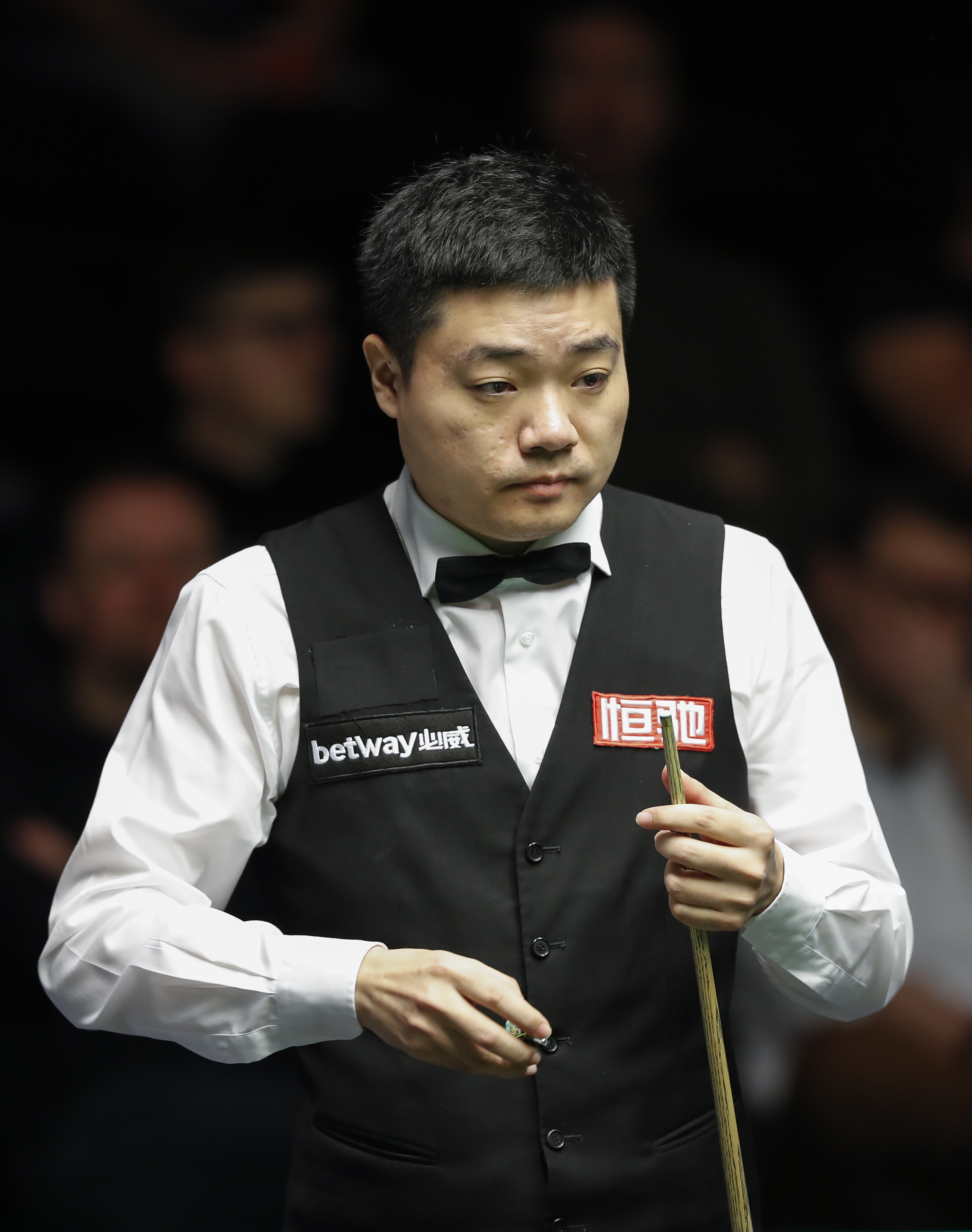 与文化却彰 与文化却彰