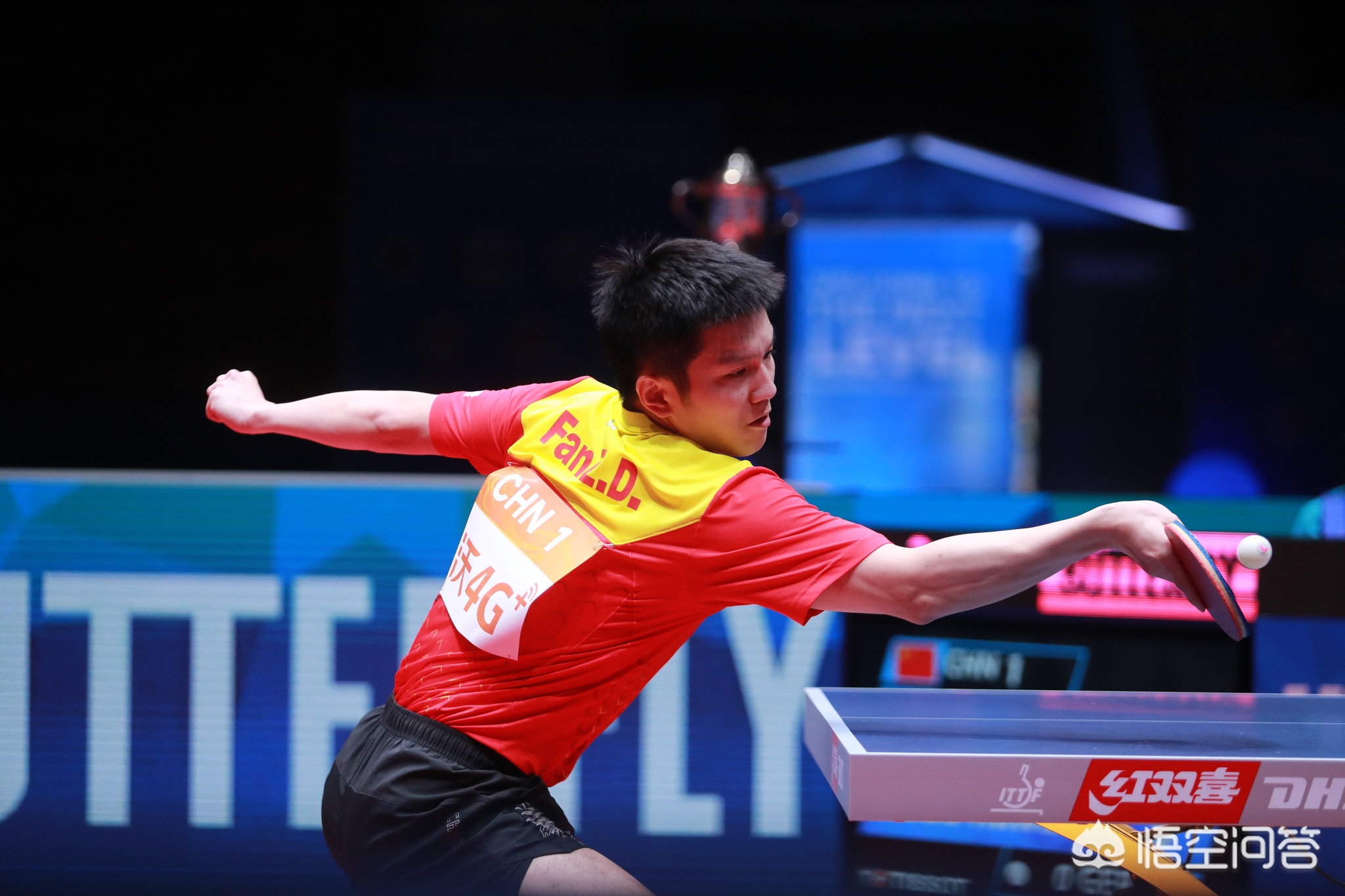 能以同样的 能以同样的