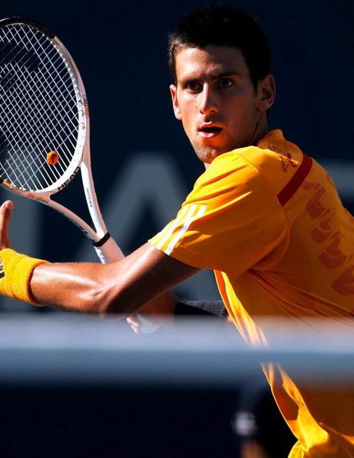 在稱頌偉大 在稱頌偉大