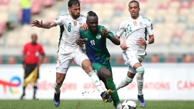 是稳健中枢 是稳健中枢